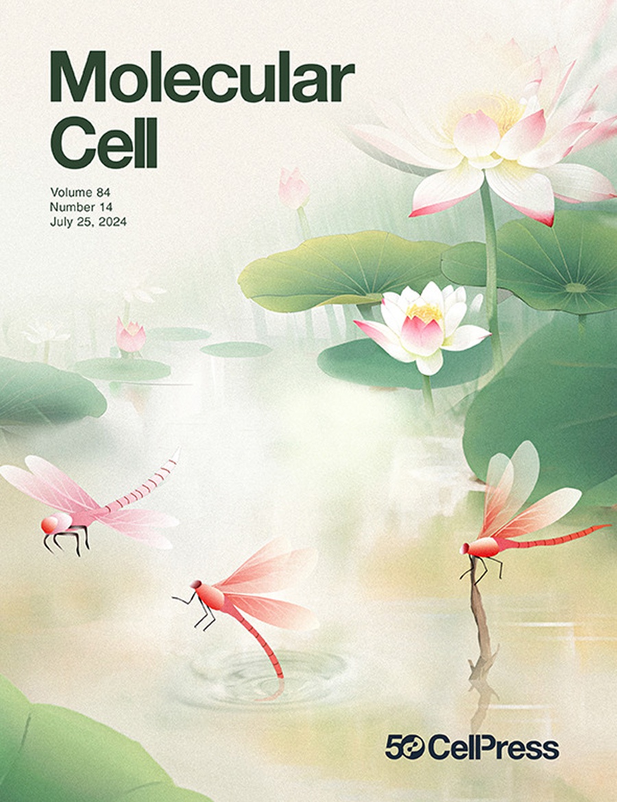 『Cover Story』Couverture de Mol Cell ! Le voyage miraculeux de l’activation transcriptionnelle dans les changements morphologiques lors de l’implantation d’embryons !