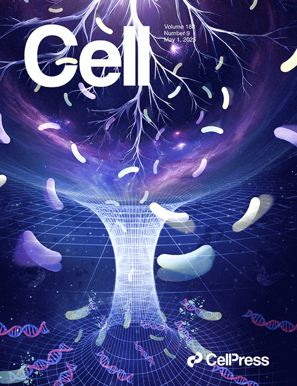 『La couverture conçue par Sondii a été présentée dans Cell』Déverrouiller les secrets des microbes de la rhizosphère des cultures : Présentation de deux bibliothèques de gènes majeures, CRBC et CRVC !!