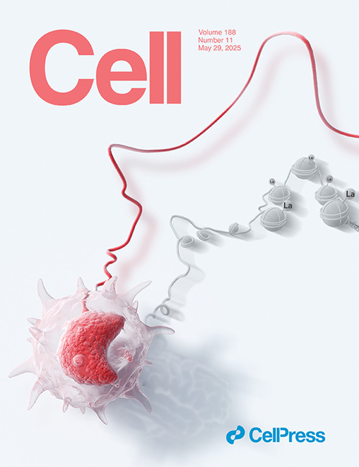 『La couverture conçue par Sondii a été présentée dans Cell』Décoder le « code moléculaire » de l'immunité d'entraînement du vaccin BCG !