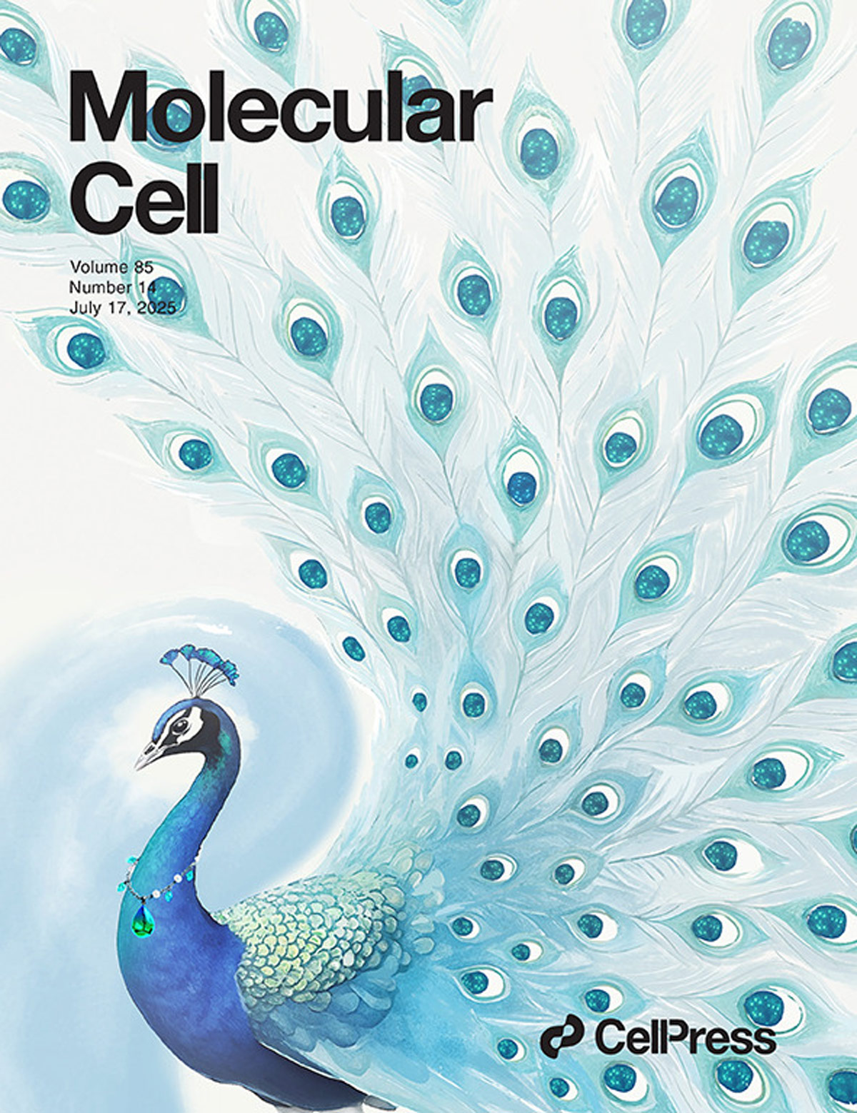 『La couverture conçue a été présentée dans Molecular Cell』La modification de l'acide lactique de YTHDC1 ouvre une nouvelle cible pour le traitement du cancer du rein !